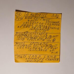 Here Comes the Cowboy Demos LP by Mac Demarco