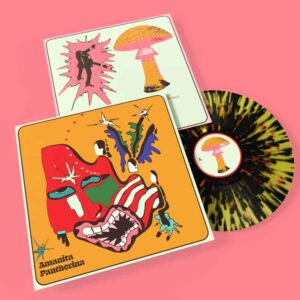 Amanita Pantherina Black Splattered LP by Cabbage