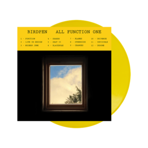 All Function One Sunflower Yellow Vinyl LP by Birdpen