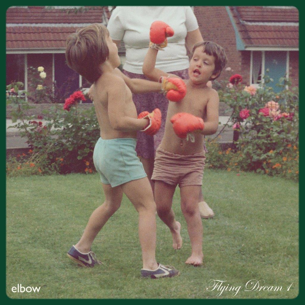 Flying Dream 1 Black Vinyl + CD by Elbow