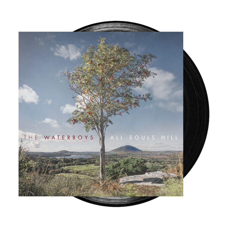 All Souls Hill Vinyl LP by Waterboys