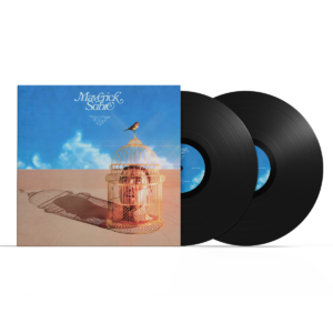 Don't Forget To Look Up Double Vinyl by Maverick Sabre