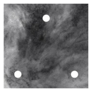 The Acid EP White Label  12 Inch by The Acid