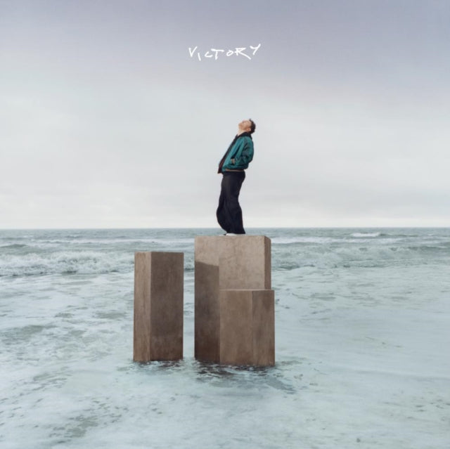 New Vinyl Victory by Cian Ducrot