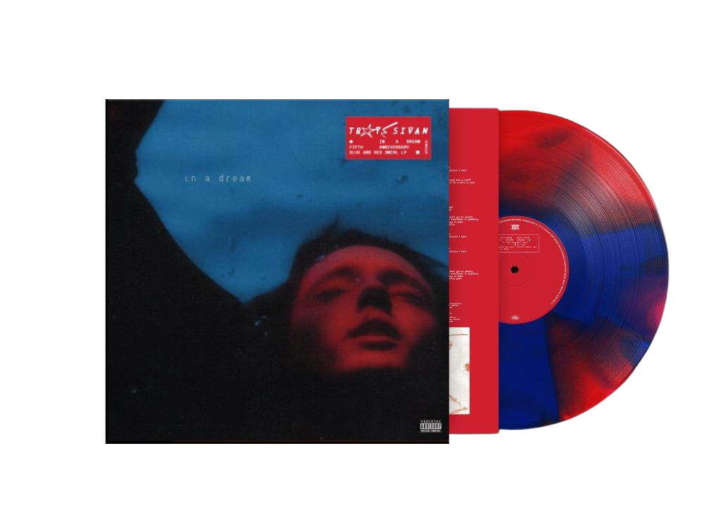 New Vinyl In A Dream by Troye Sivan