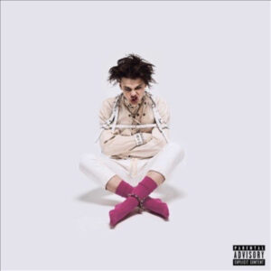 New Vinyl 21st Century Liability by Yungblud