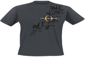 A Perfect Circle T-Shirt Hieroglyphics M to XXL for Men charcoal