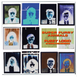 New Vinyl Fuzzy Logic by Super Furry Animals