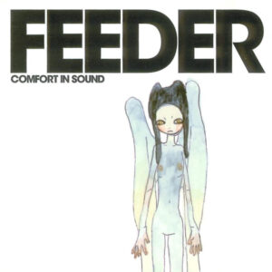 New Vinyl Comfort in Sound by Feeder