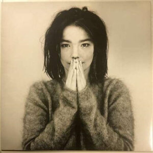 New Vinyl Debut by Bjork