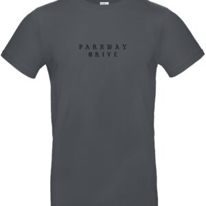 Parkway Drive T-Shirt Glitch S to XXL for Men charcoal