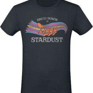 David Bowie T-Shirt Ziggy Stardust S to 3XL for Men black