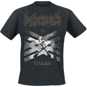 Behemoth T-Shirt With Fire In Hearts S to 4XL for Men black
