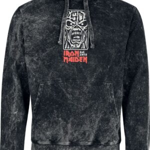 Iron Maiden Hoodie Smoking Eddie S to XXL for Men anthracite