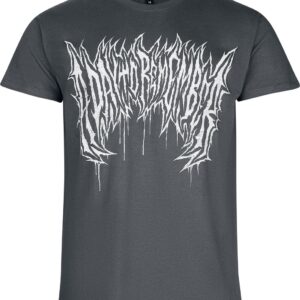 A Day To Remember T-Shirt Make it Make Sense S to 3XL for Men dark grey