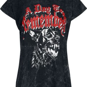 A Day To Remember T-Shirt Hound S to XXL for Women anthracite