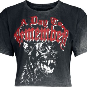 A Day To Remember T-Shirt Hound S to XXL for Women grey