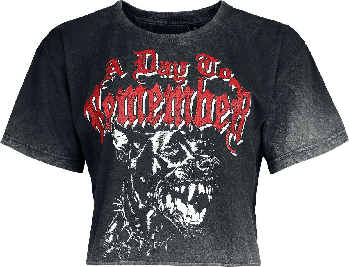 A Day To Remember T-Shirt Hound S to XXL for Women grey