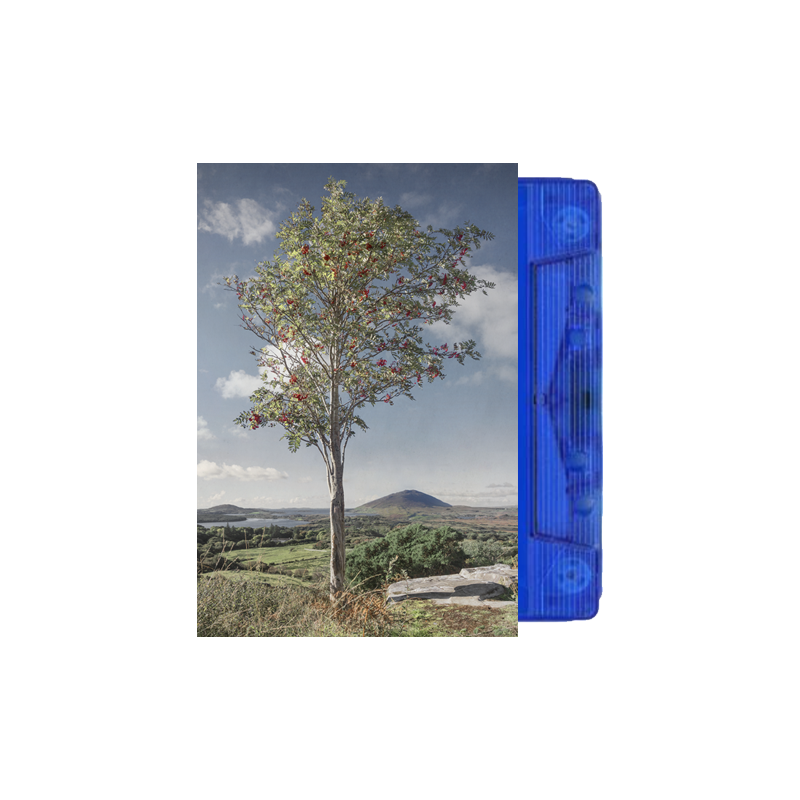 All Souls Hill Cassette Cassette by Waterboys