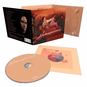 Homosexual CD by Darren Hayes