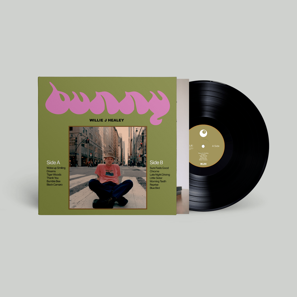 Bunny Vinyl by Willie J Healey