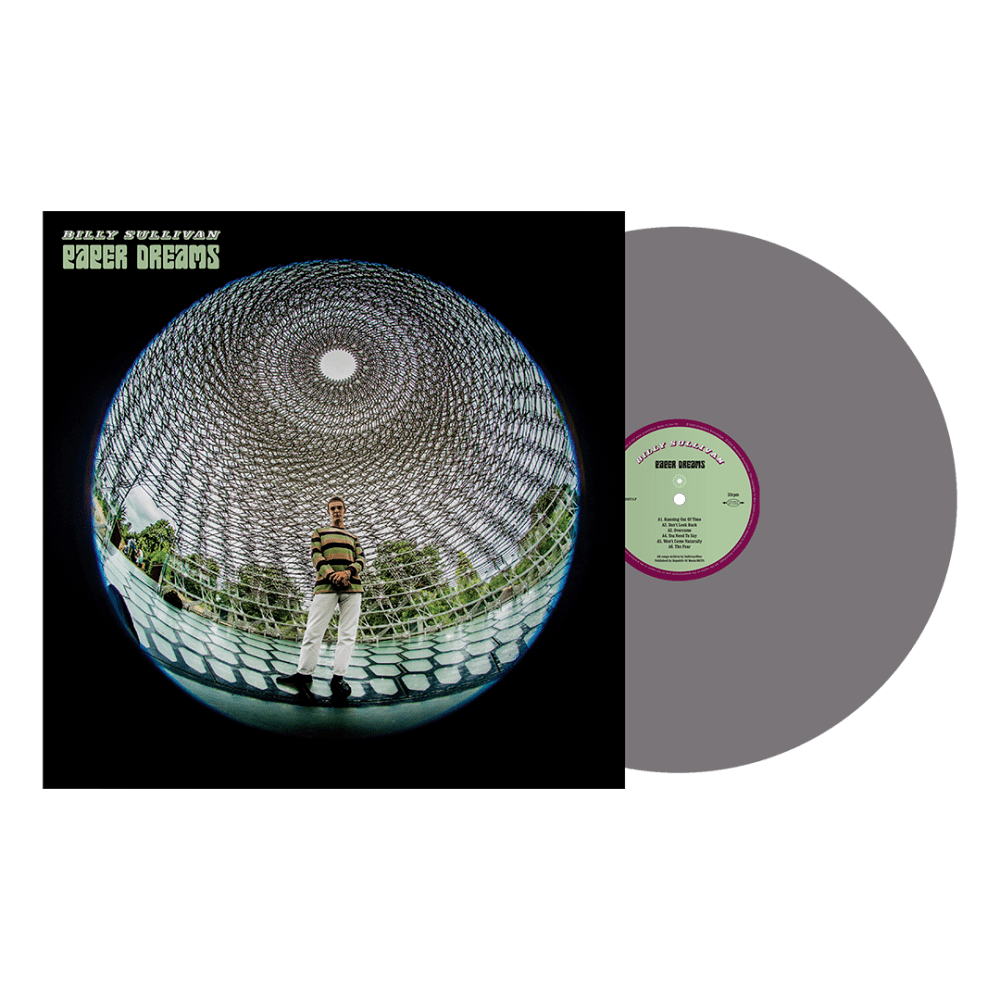 Paper Dreams Silver Vinyl by Billy Sullivan