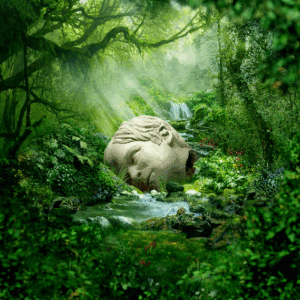 SZNZ: Spring Vinyl by Weezer