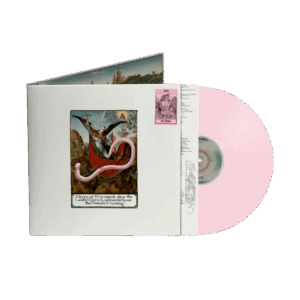 The Worm Pink Vinyl - HMLTD