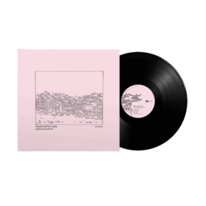 Asphalt Meadows Acoustic Vinyl - Death Cab for Cutie