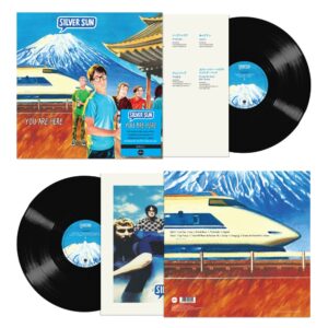 You Are Here Vinyl - Silver Sun