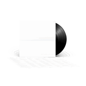 But Here We Are Vinyl by Foo Fighters