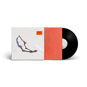 I Inside the Old Year Dying Vinyl - PJ Harvey