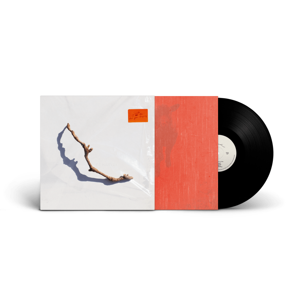 I Inside the Old Year Dying Vinyl by PJ Harvey