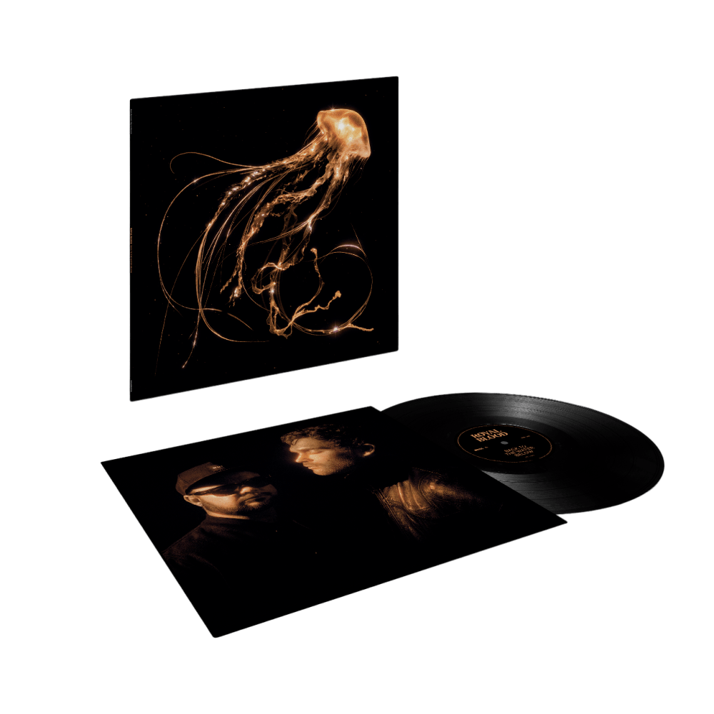 Back To The Water Below Vinyl by Royal Blood