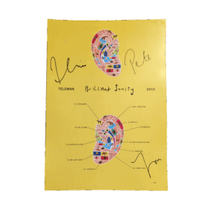 Brilliant Sanity Poster by Teleman