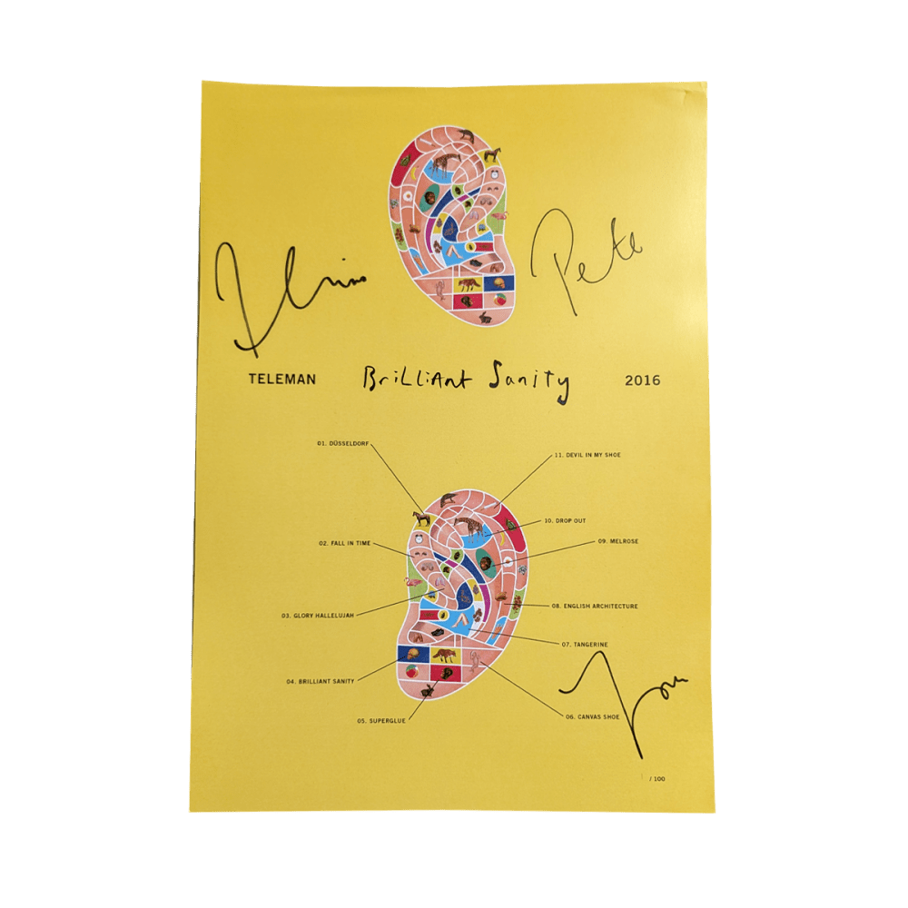 Brilliant Sanity Poster by Teleman