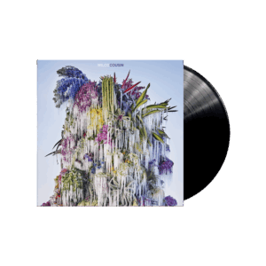 Cousin Vinyl - Wilco