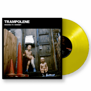 Swansea To Hornsey Daffodil Yellow in Original Signed Sleeve Vinyl by Tr&olene