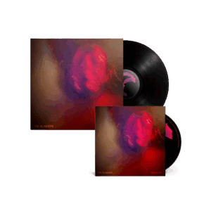 Beholder Vinyl + CD - The Blinders