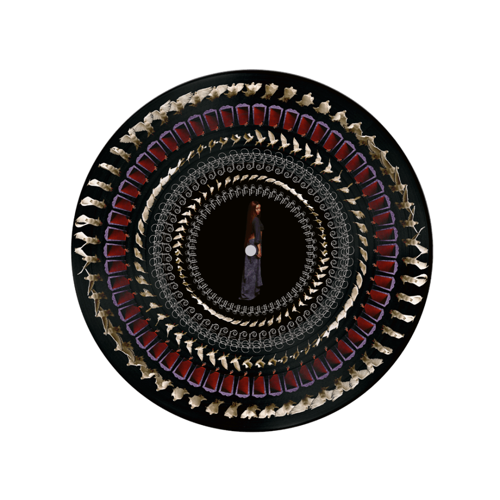 Heaven Knows Zoetrope Picture Disc by Pink Pantheress