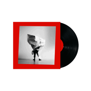 Grief Chapter Vinyl - Mother Mother