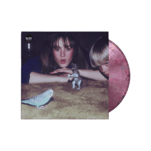 Masterpiece 2023 Remaster Eco Mix Vinyl by Big Thief