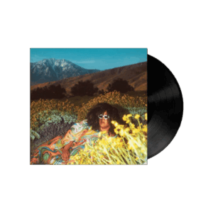 What Now Vinyl - Brittany Howard