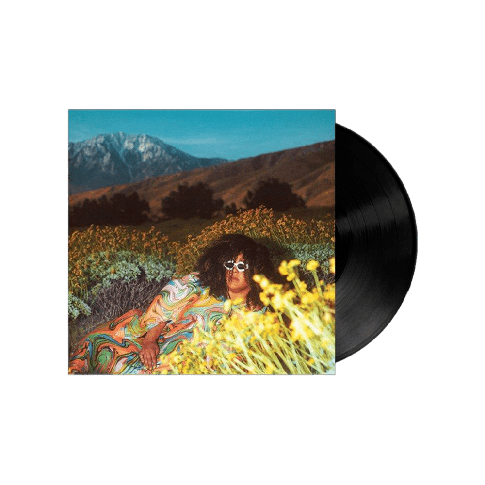 What Now Vinyl by Brittany Howard