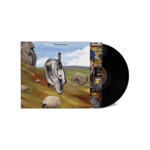 This Could Be Texas Vinyl - English Teacher