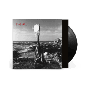 Ultrasound Vinyl - Palace