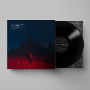 Punisher Vinyl by Phoebe Bridgers