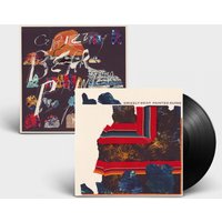 Painted Ruins LP