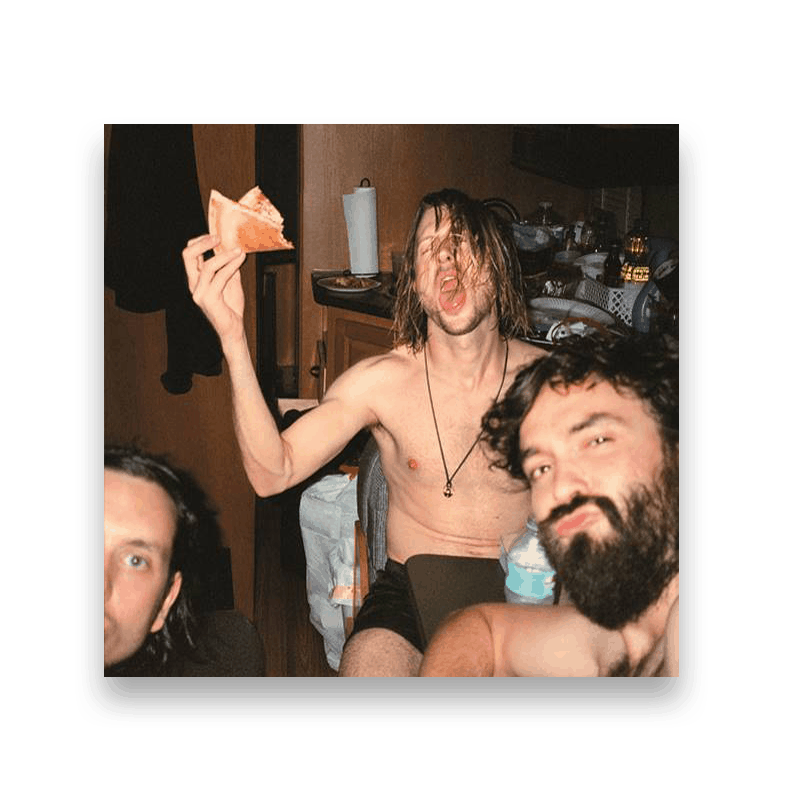 Celebrity Mansions - Dinosaur Pile-Up