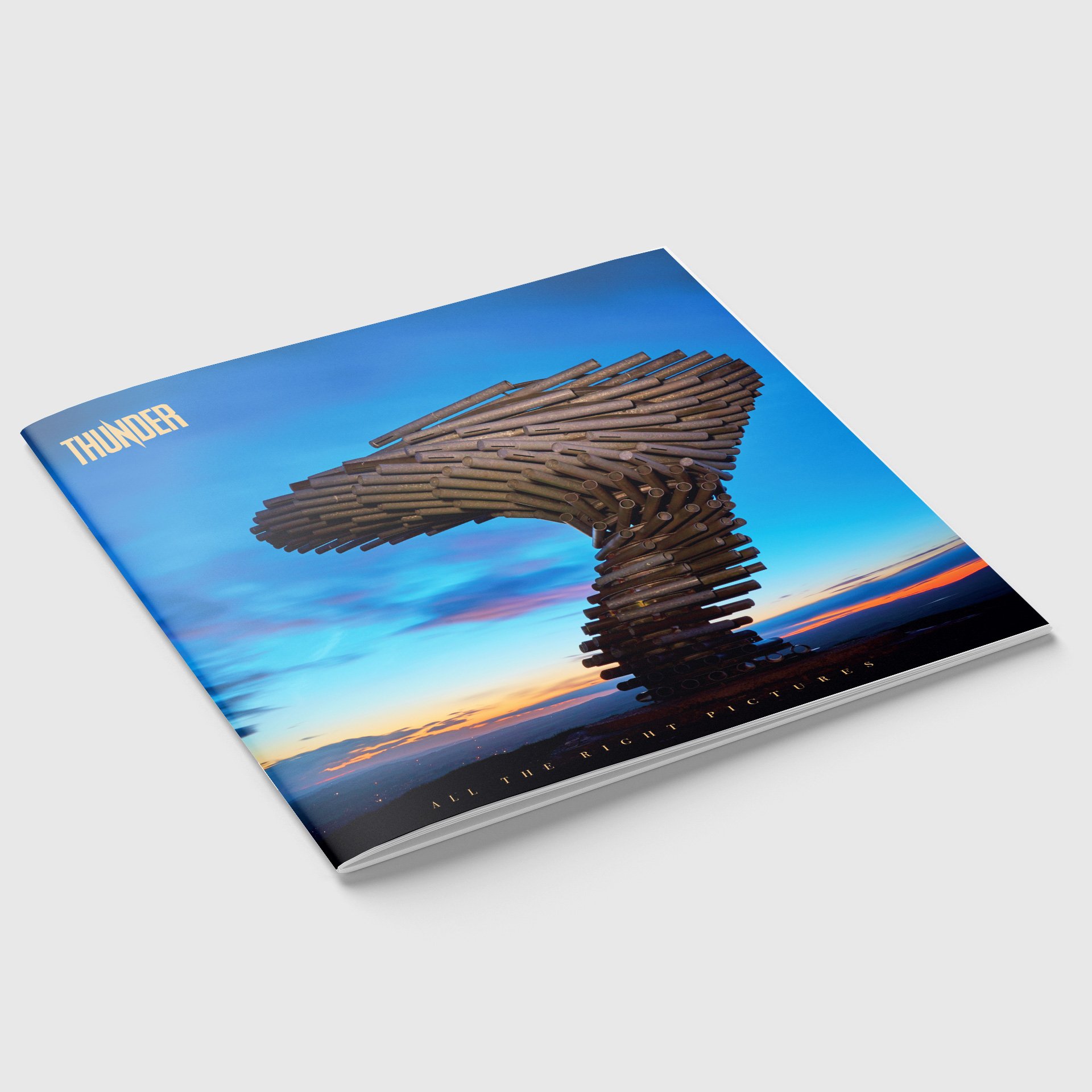 All The Right Pictures - Standard Photo Book - Thunder